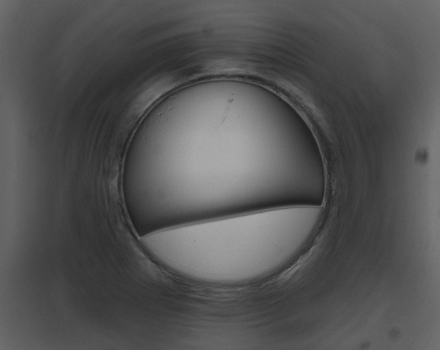 X0000094791273200711160908