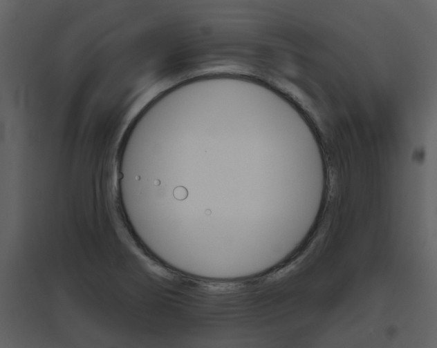 X0000094791274200711160908