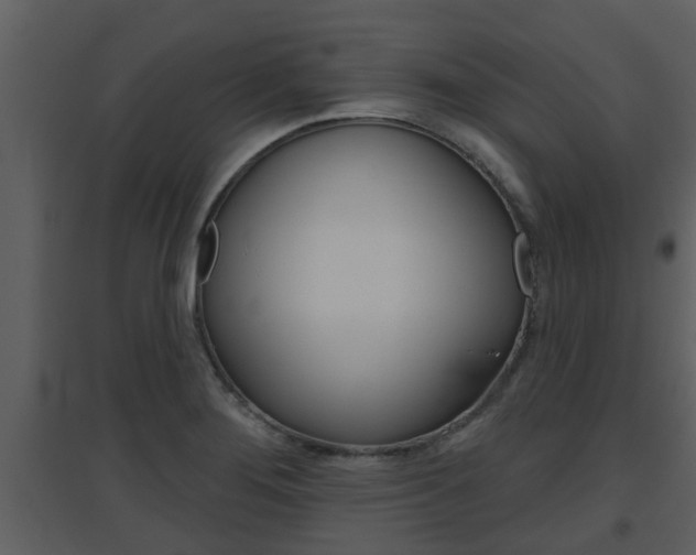 X0000094791276200711160908