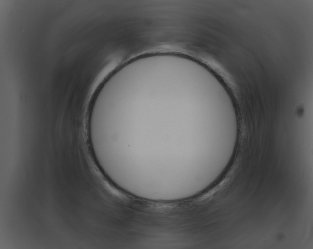 X0000094791278200711160908