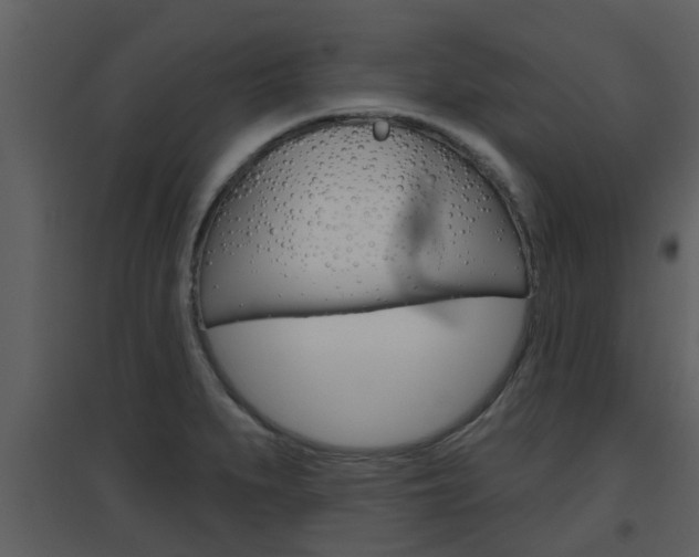 X0000094791279200711160908