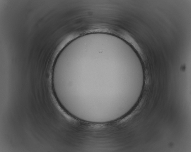 X0000094791282200711160908