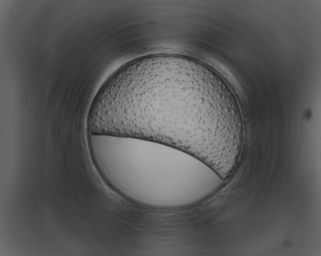 X0000094791283200711160908