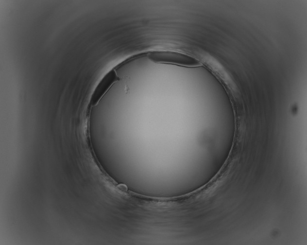 X0000094791284200711160908