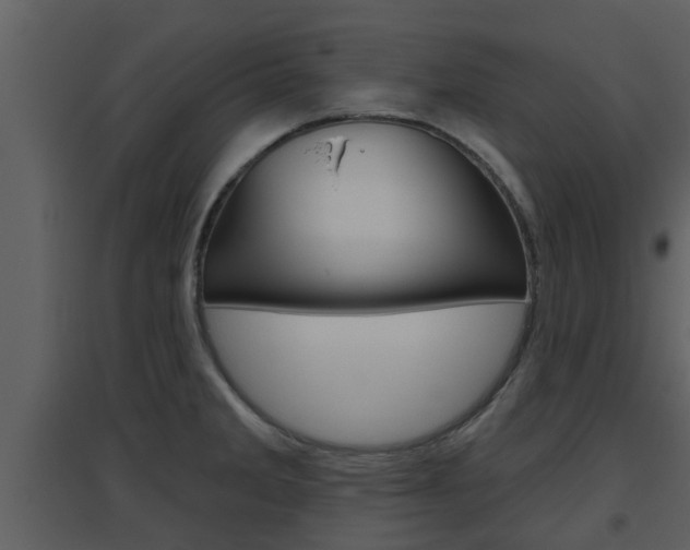 X0000094791285200711160908