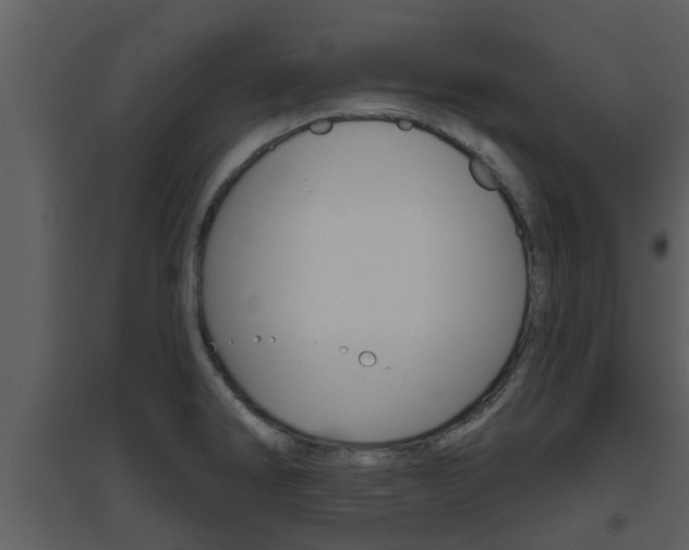 X0000094791286200711160908