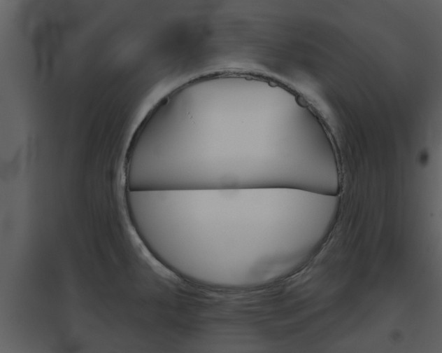 X0000094791287200711160908