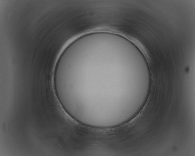 X0000094791288200711160907