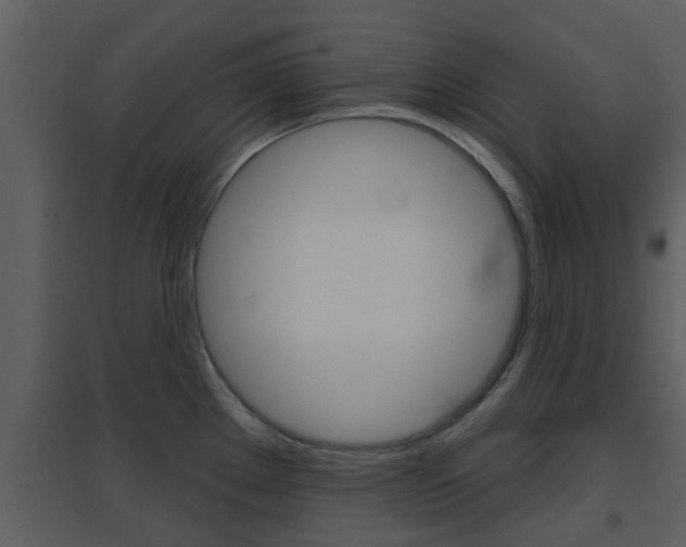 X0000094791289200711160907