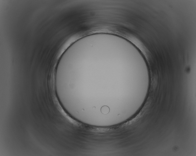 X0000094791290200711160907