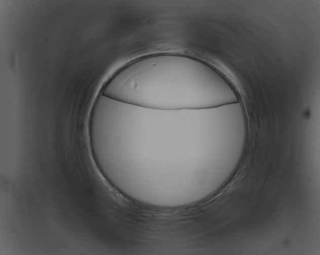X0000094791291200711160907