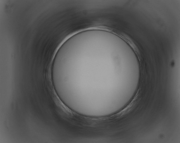 X0000094791292200711160907