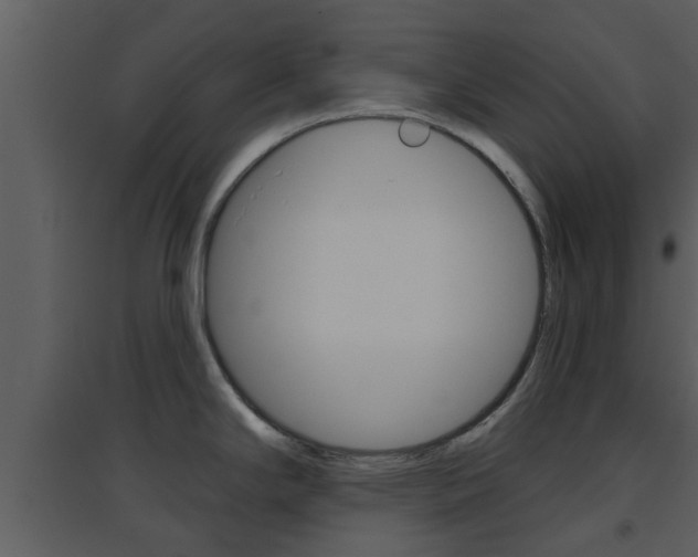 X0000094791294200711160907