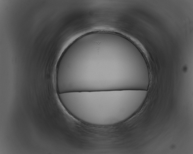 X0000094791295200711160907