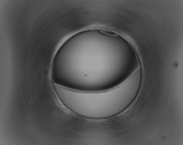 X0000094791296200711160907
