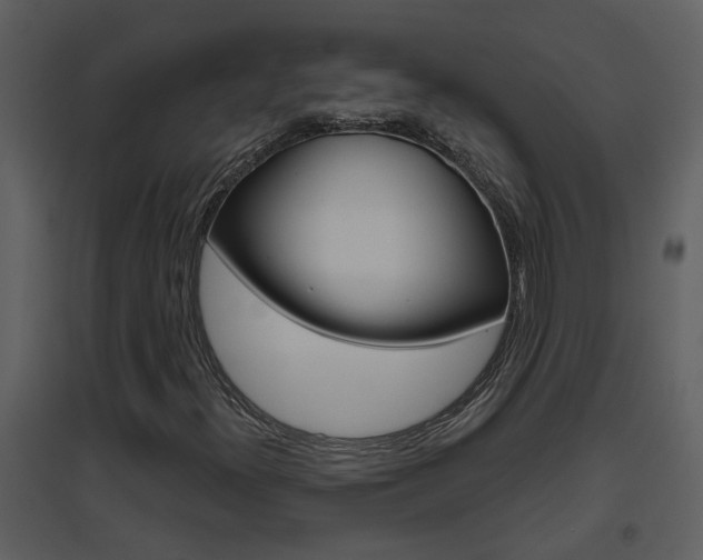 X0000094791300200711160907