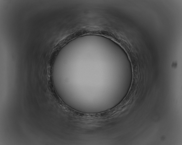 X0000094791301200711160907