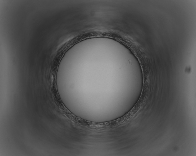 X0000094791302200711160907