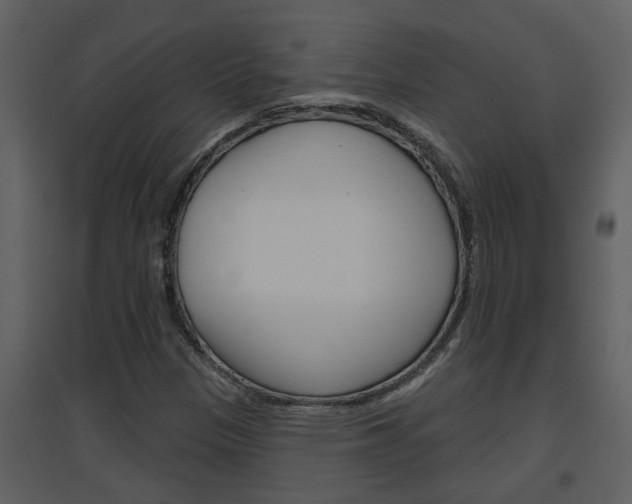 X0000094791305200711160907
