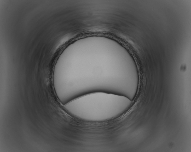 X0000094791306200711160907