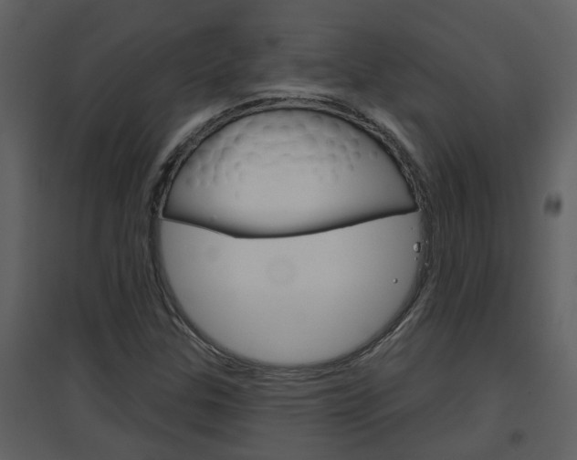 X0000094791307200711160907