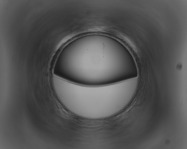 X0000094791308200711160907