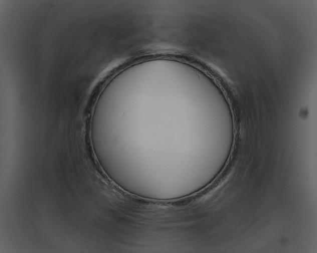 X0000094791309200711160907