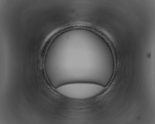 X0000094791310200711160907