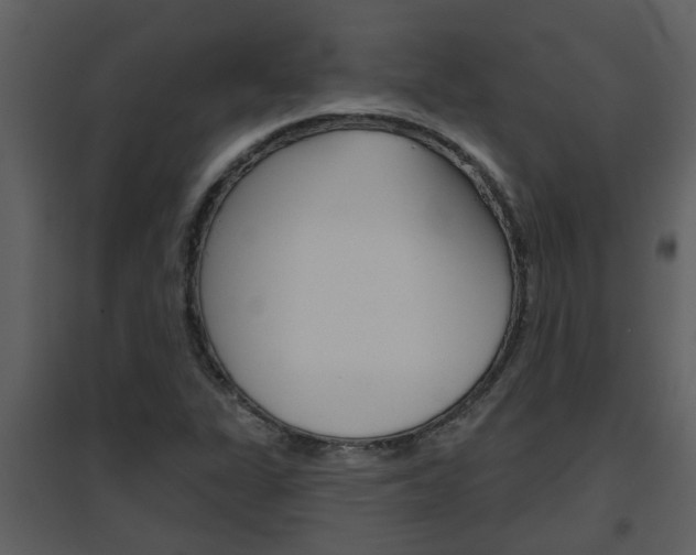 X0000094791311200711160907