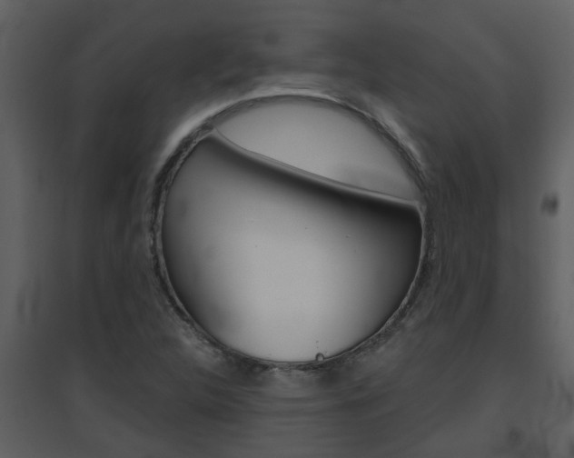X0000094791312200711160907