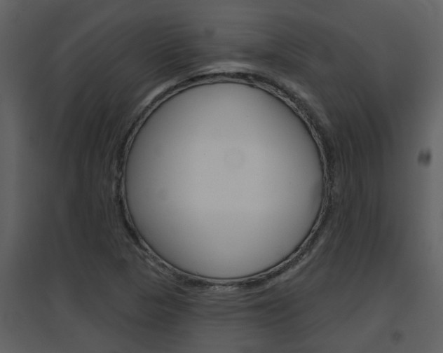 X0000094791313200711160907