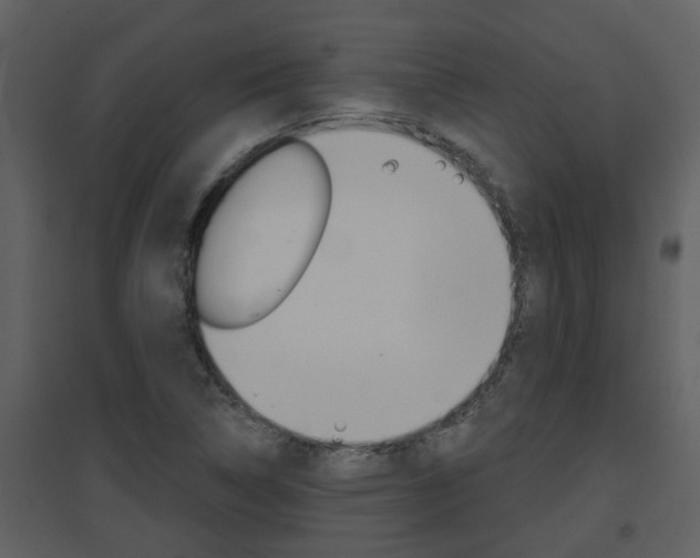 X0000094791314200711160907