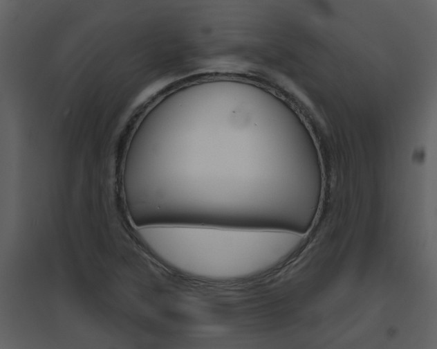 X0000094791315200711160907