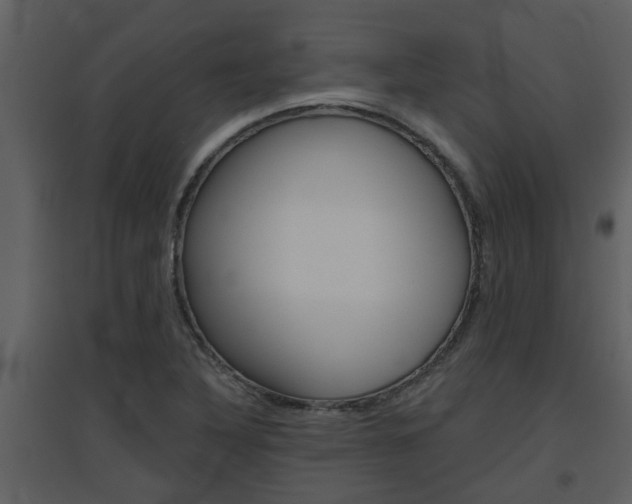X0000094791316200711160907