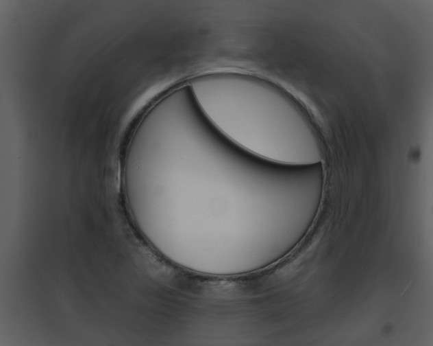 X0000094791317200711160907