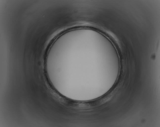 X0000094791318200711160907