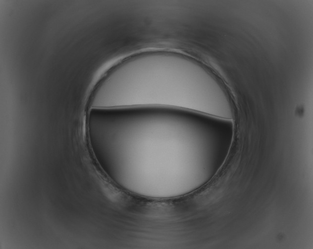 X0000094791320200711160907