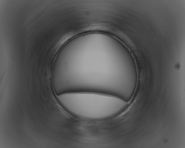 X0000094791321200711160907