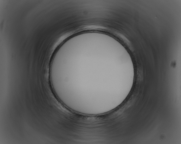 X0000094791322200711160907