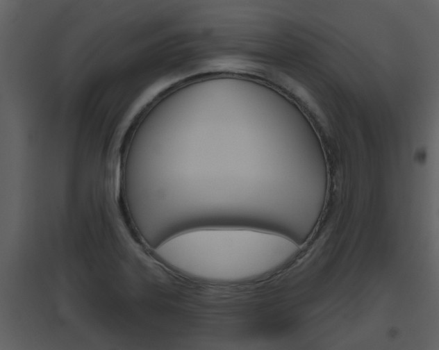 X0000094791323200711160907