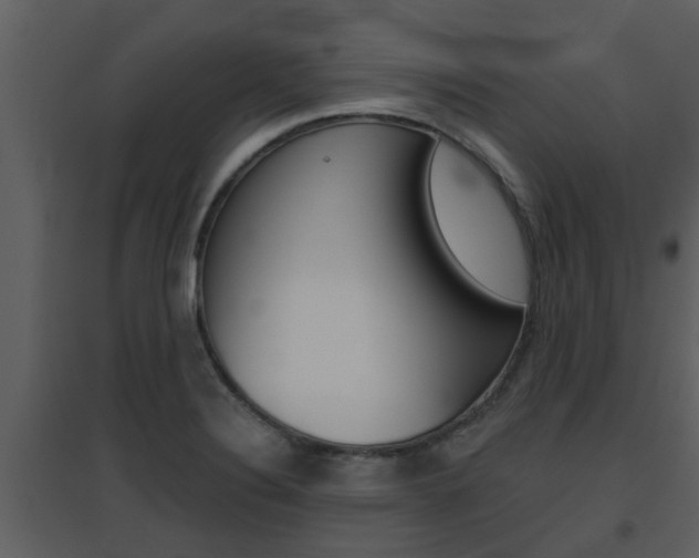 X0000094791324200711160907