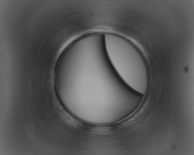X0000094791325200711160907