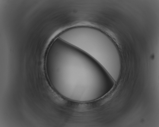 X0000094791326200711160907