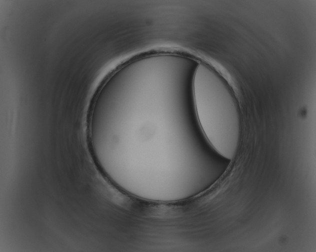 X0000094791327200711160907