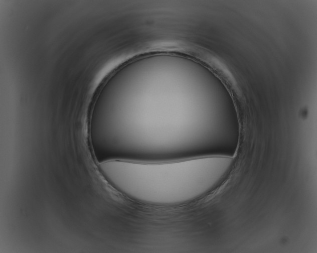 X0000094791328200711160907