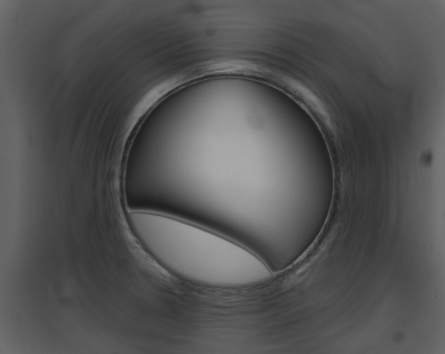 X0000094791330200711160907