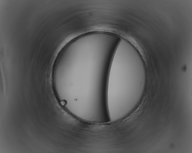 X0000094791331200711160907