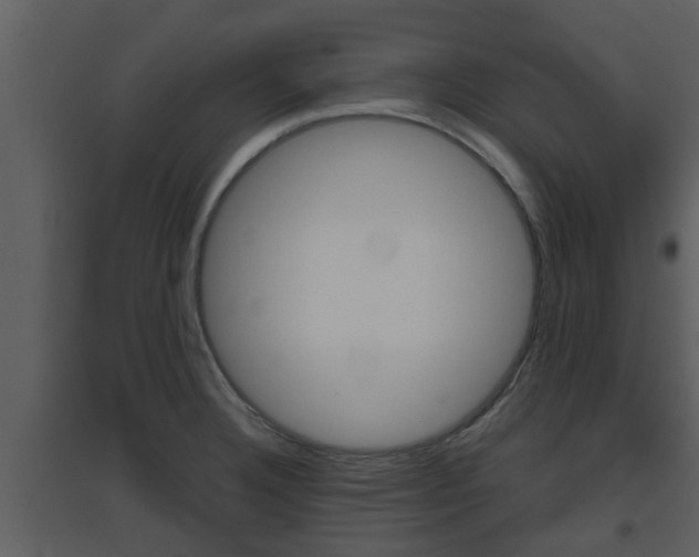 X0000094791332200711160907