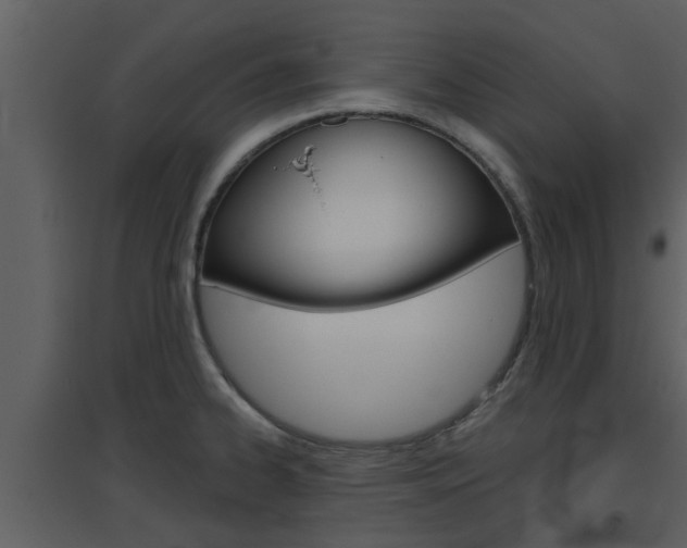 X0000094791334200711160907