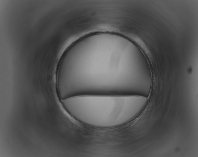 X0000094791335200711160907